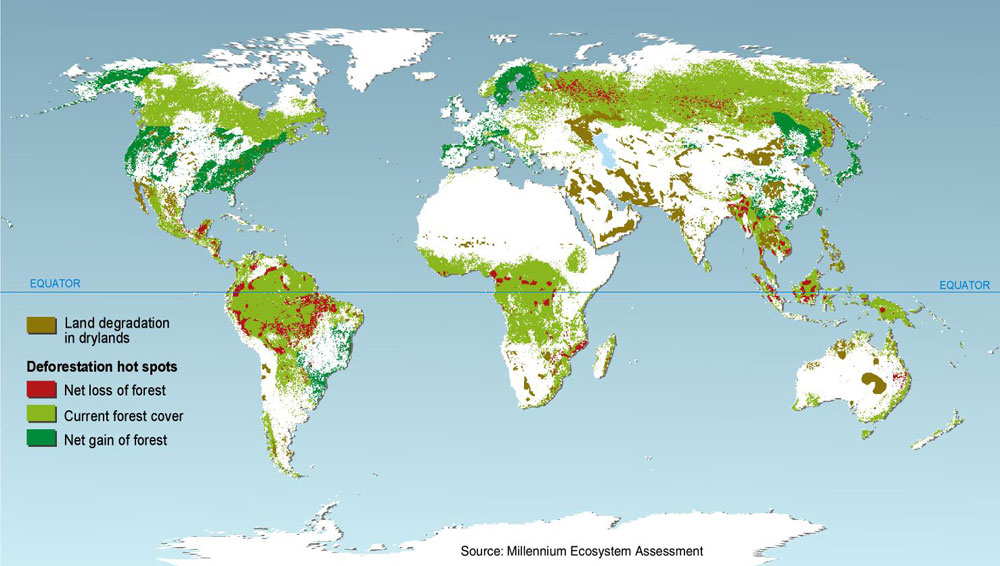   say Yes to a greener world & No to deforestation (click for a larger picture, then smaller)  